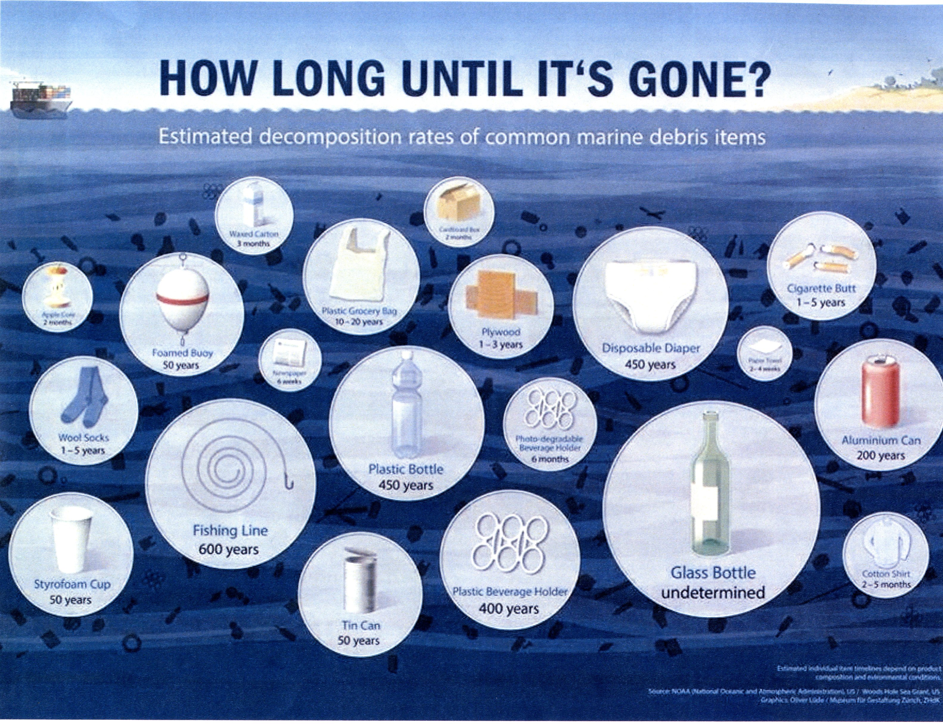 Marine Debris Decomposition